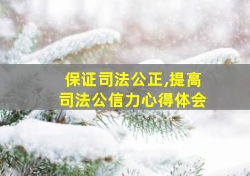 保证司法公正,提高司法公信力心得体会