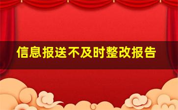 信息报送不及时整改报告