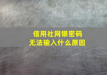 信用社网银密码无法输入什么原因