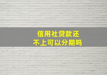 信用社贷款还不上可以分期吗