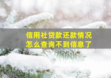 信用社贷款还款情况怎么查询不到信息了