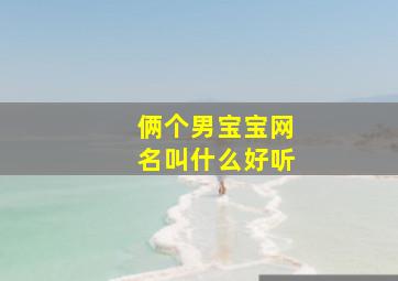 俩个男宝宝网名叫什么好听