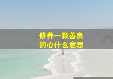 修养一颗善良的心什么意思