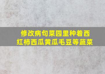 修改病句菜园里种着西红柿西瓜黄瓜毛豆等蔬菜