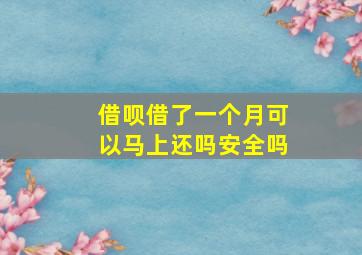 借呗借了一个月可以马上还吗安全吗