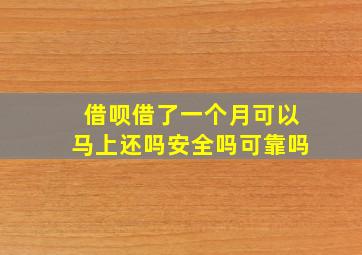 借呗借了一个月可以马上还吗安全吗可靠吗