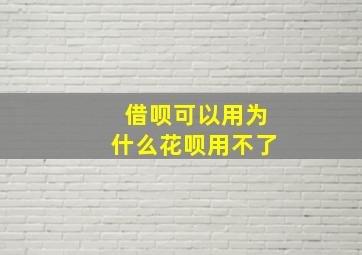 借呗可以用为什么花呗用不了