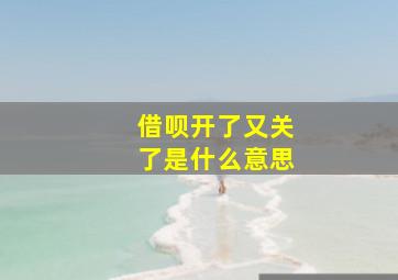 借呗开了又关了是什么意思