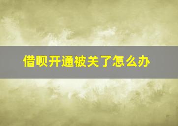 借呗开通被关了怎么办