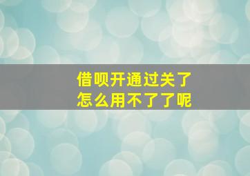 借呗开通过关了怎么用不了了呢