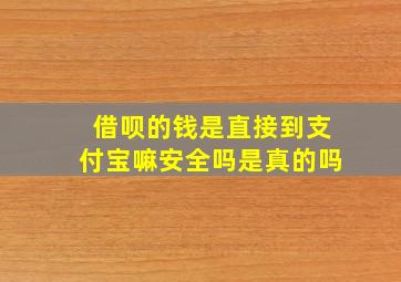 借呗的钱是直接到支付宝嘛安全吗是真的吗