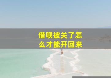 借呗被关了怎么才能开回来