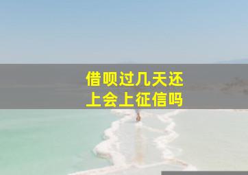 借呗过几天还上会上征信吗