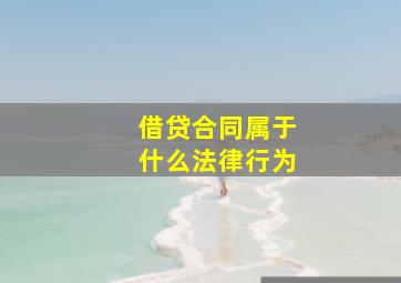 借贷合同属于什么法律行为