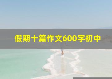 假期十篇作文600字初中