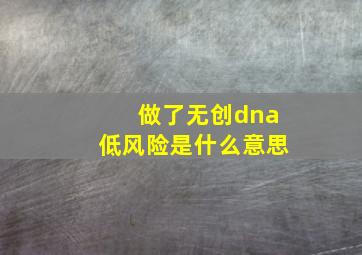 做了无创dna低风险是什么意思