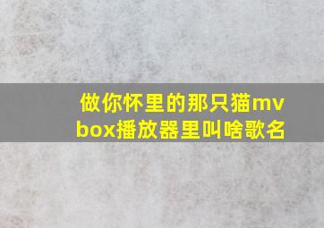 做你怀里的那只猫mvbox播放器里叫啥歌名