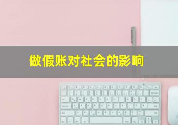 做假账对社会的影响