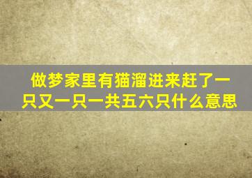 做梦家里有猫溜进来赶了一只又一只一共五六只什么意思