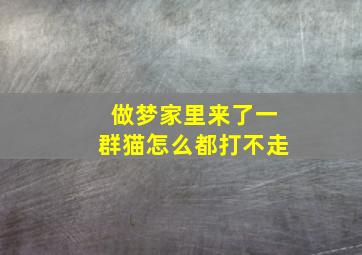 做梦家里来了一群猫怎么都打不走