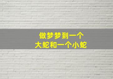 做梦梦到一个大蛇和一个小蛇