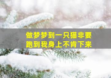 做梦梦到一只猫非要跑到我身上不肯下来