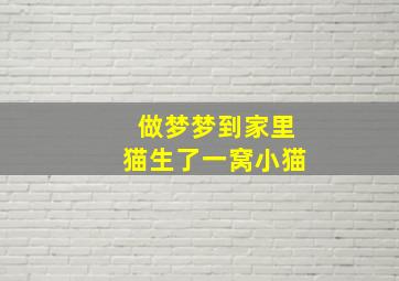 做梦梦到家里猫生了一窝小猫