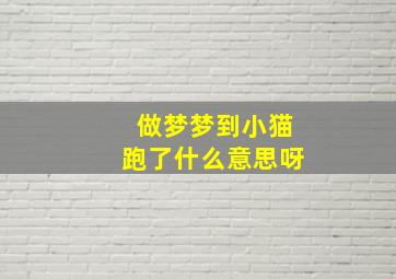 做梦梦到小猫跑了什么意思呀