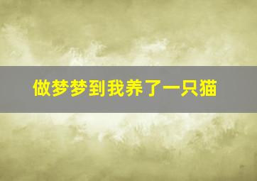 做梦梦到我养了一只猫