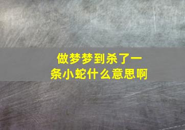 做梦梦到杀了一条小蛇什么意思啊