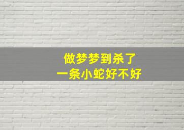 做梦梦到杀了一条小蛇好不好