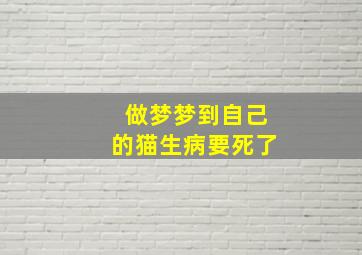 做梦梦到自己的猫生病要死了