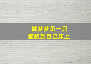 做梦梦见一只猫跑到自己床上