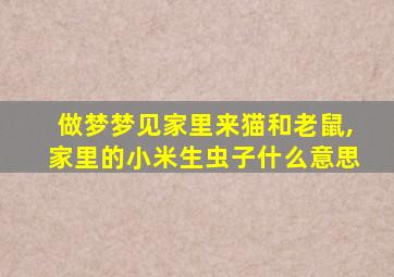 做梦梦见家里来猫和老鼠,家里的小米生虫子什么意思