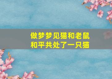 做梦梦见猫和老鼠和平共处了一只猫