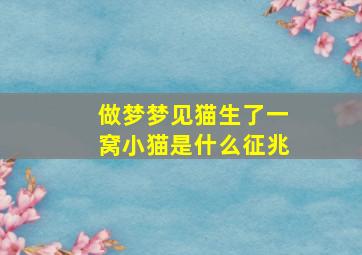 做梦梦见猫生了一窝小猫是什么征兆