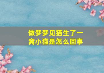 做梦梦见猫生了一窝小猫是怎么回事