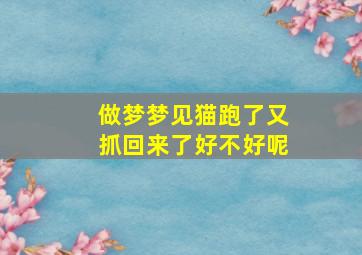 做梦梦见猫跑了又抓回来了好不好呢