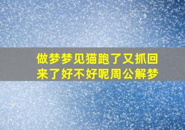 做梦梦见猫跑了又抓回来了好不好呢周公解梦