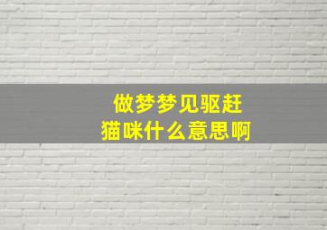 做梦梦见驱赶猫咪什么意思啊