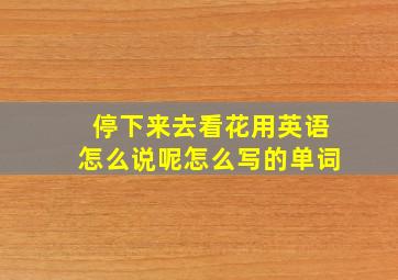 停下来去看花用英语怎么说呢怎么写的单词