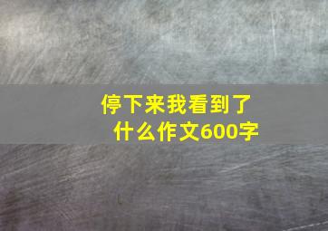 停下来我看到了什么作文600字