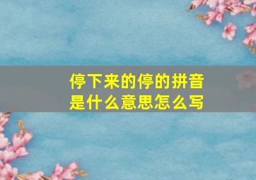 停下来的停的拼音是什么意思怎么写