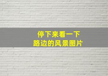 停下来看一下路边的风景图片