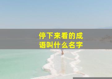 停下来看的成语叫什么名字