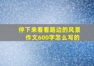 停下来看看路边的风景作文600字怎么写的