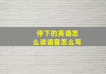 停下的英语怎么读语音怎么写