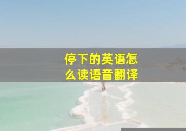 停下的英语怎么读语音翻译