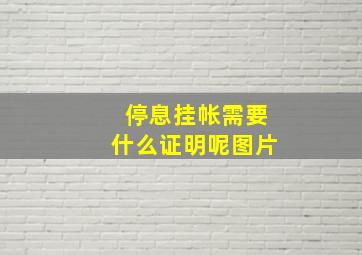 停息挂帐需要什么证明呢图片