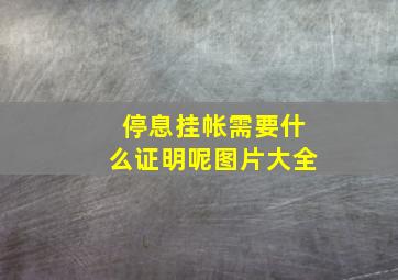 停息挂帐需要什么证明呢图片大全